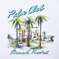 House Of Classics DJCriscodance Club Palm