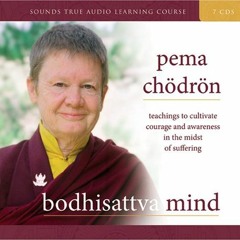 GET KINDLE PDF EBOOK EPUB Bodhisattva Mind: Teachings to Cultivate Courage and Awaren