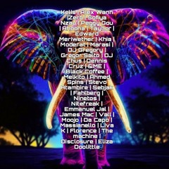 Afro/Melodic House Mix 2024 (Black Coffe, Peggy Gou, Moderat,Ahmed Spins, Gregor Salto....)