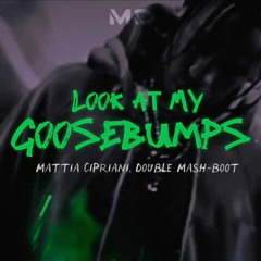 Travis Scott vs RDLF, Jaiden Wild - Goosebumps x Look at My Eyes (Mattia Cipriani, Double Mash-Boot)
