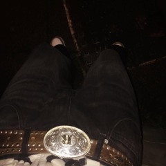 belt prod me and milleniumfalcom300