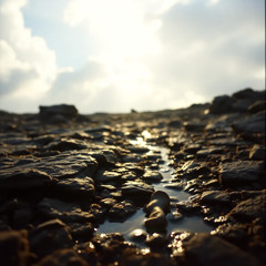 In the Silence