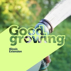 Gardenbite - How to hand water your landscape plants |#GoodGrowing
