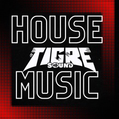 House in the House Mix - Tigre Sound