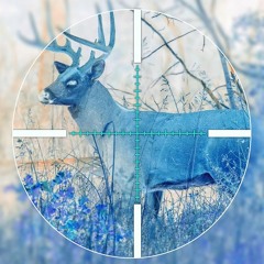 Summer Cover (Brockhampton)