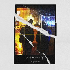 '' SHAWTY '' - Flymingo x YungFresh