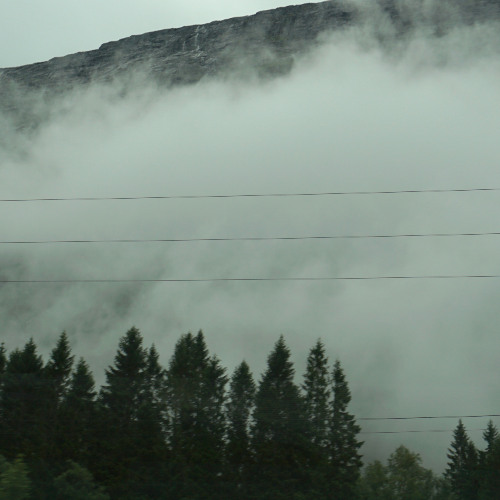 wlr187 Julia Gjertsen & Gustav Davidsson - Wandering Mind, Drifting Weather