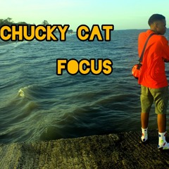 Chucky Cat--FOCUS.mp3