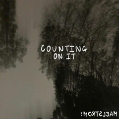 Counting On It