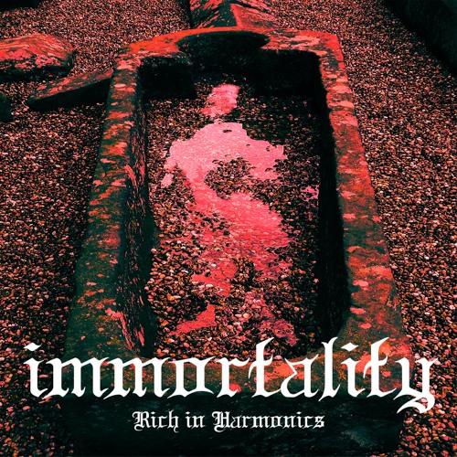 Immortality - Rich In Harmonics
