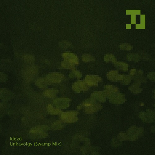 Idéző - Unkavölgy (Swamp Mix) [TLS007]