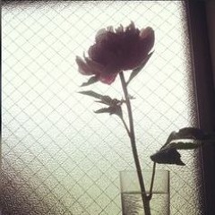 some scars wont heal