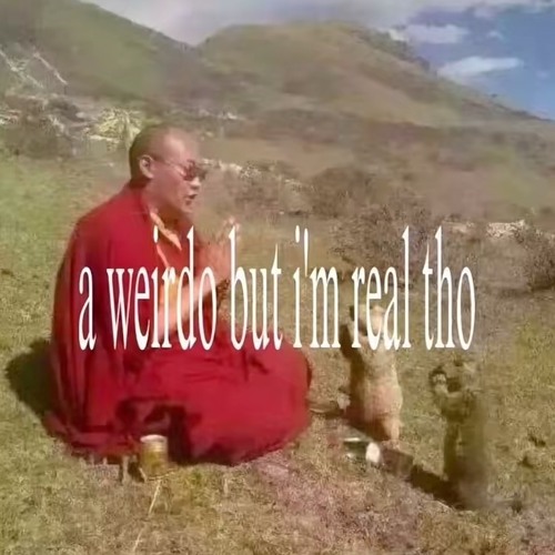 I really fucking hate