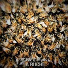 La Ruche (feat Munoz)