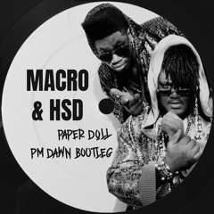 MACRO & HSD - PAPER DOLL