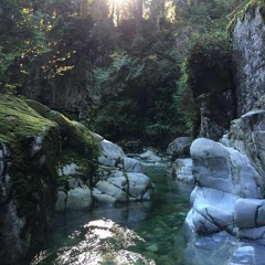 Times Like These (Foo Fighters) Cover by Jennyfer