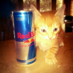 redbull (mysoul)