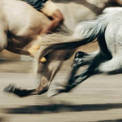 try to forget me prod stacknem