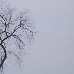 2022-09-04_1h05m55