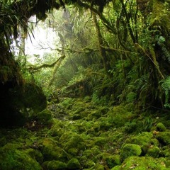 junglecore