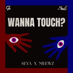 WANNA TOUCH？-Meewz X Seya (Original mix)