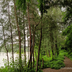 Pune Dreamzz