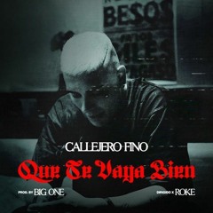 CALLEJERO FINO   QUE TE VAYA BIEN  30