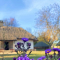 Защебетала, гей, ластівонька