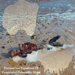 "Mince That Bitch With A Cleaver"