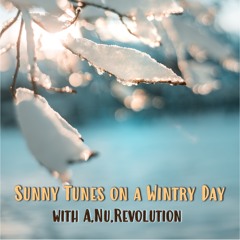 Sunny Tunes on a Wintry Day