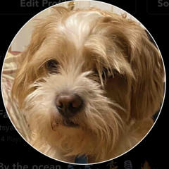 Morning freestyle session | made on the Rapchat app (prod. by Big22shotz)