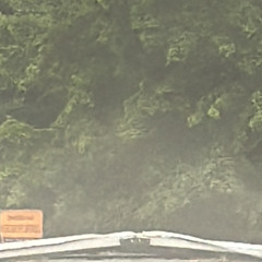 MOUNTAINS WITHOUT VALLYS