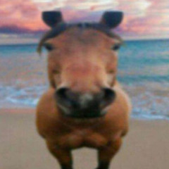 Gwallahs - Money Addict