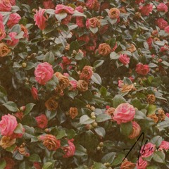 Abue (feat. Tracy J)