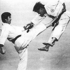 karateflip