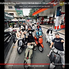 DJz Chang  I Saw You Walking In The Rain 2024 TikTok cut