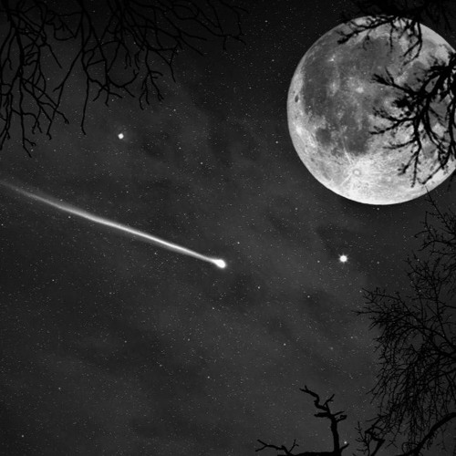 #MOONRISING(Extended Playlist)