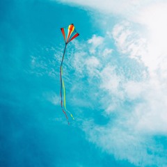 The Kite