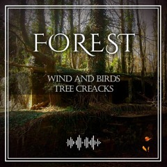 Forest InsideLostBunker(opened) Wind Birds ConcreteAcustic Eco LowerSaxony