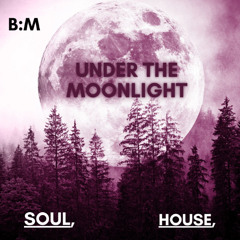 Unter The Moonlight