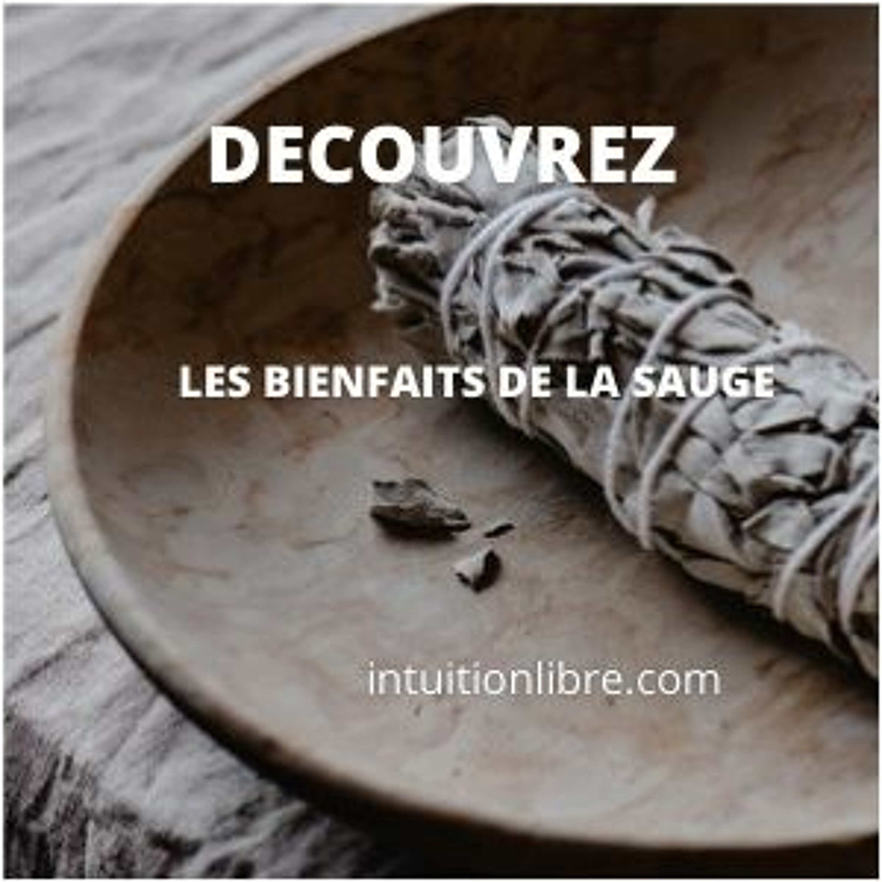 intuitionlibre.com actu vue par la voyance