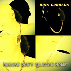 PLEASE DON'T GO BACK HOME