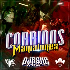 Corridos Mamalones EXITOS - DjRene Reyes