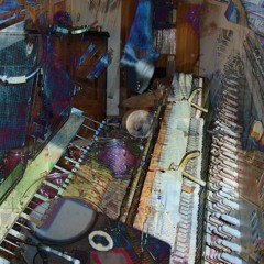 Video Pigeon - 11n05