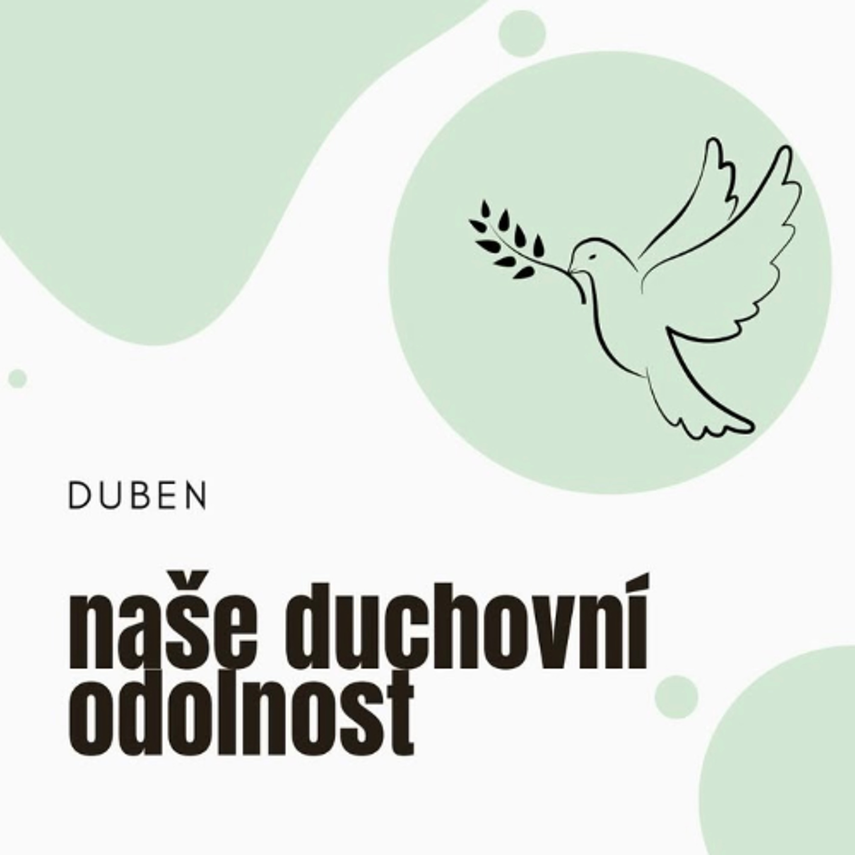 Církev bez hranic