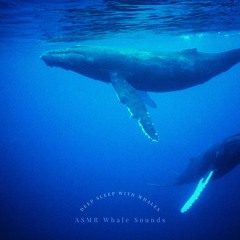 A Healing Whale Song