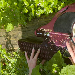 Teen Idle - Omnichord Cover