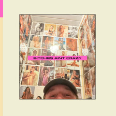 Bitches Aint Crazy - Channel Tres - LARRY_3512 Remix