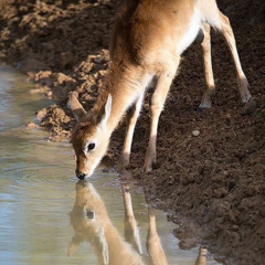 ...is that because of who i am?