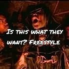 Is this what they want? freestyle